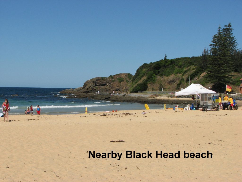 Tuncurry Real Estate Black Head beach